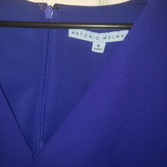 Brand New Antonio Melani Dress - Picture 4 of 4